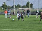 S.K.N.W.K. JO8-1 - M.Z.C. '11 JO8-3 (competitie) 2024-2025 (4e fase) (31/109)